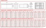 Batteria 12V 260Ah ciclica CP. LDC12-260 immagine terminali e dimensioni.
