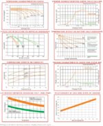 Batteria 6V 220Ah ciclica CP. LDC6-220 immagine grafici di carica.