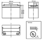Batteria Zenith 12V 110Ah ciclica CP. ZL120185 immagine dimensioni e terminali.