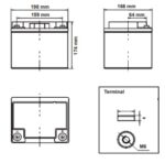 Batteria Zenith 12V 36Ah ciclica CP. ZL120135 immagine dimensioni e terminali.