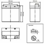 Batteria Zenith 12V 55Ah ciclica CP. ZL120155 immagine dimensioni e terminali.