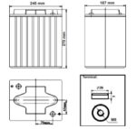 Batteria Zenith 6v 245Ah ciclica CP. ZL060115 immagine dimensioni e terminali.