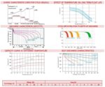 DCC240-6 cicli di carica e curve di funzionamento