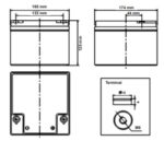 Batteria Zenith 12V 26Ah ciclica CP. ZL120130 immagine dimensioni e terminali.