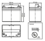 Batteria Zenith 12V 36Ah ciclica CP. ZL120135 immagine dimensione e terminali.