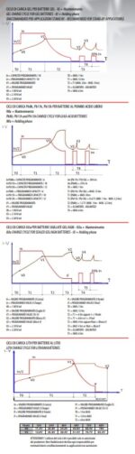 Caricabatteria Zenith 12V 25A Alta Frequenza Monofase 185V-265Vac CP. ZHF1225 immagine cicli di carica.
